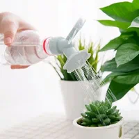 تصویر 2 از فروش کود مرغی مخصوص محصولات ارگانیک + قیمت خرید به صرفه